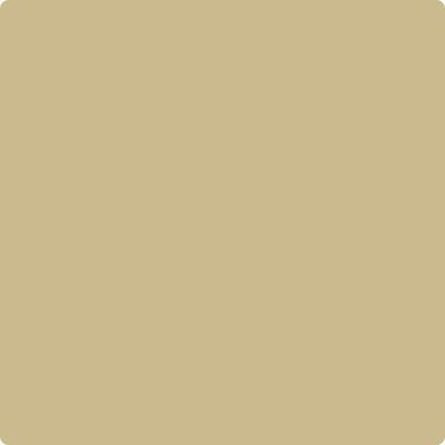 Shop the paint color CC-240 Late Wheat by Benjamin Moore at Anderson Paint Company in Ann Arbor, Michigan.