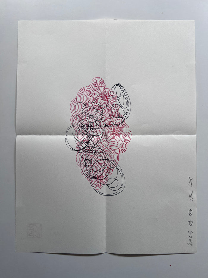 Mail Art 2025 09 07 ___